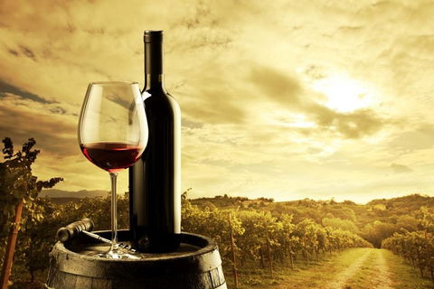 Barossa Valley Cellar Doors Luxury Wine Tour - Australian Directory 0