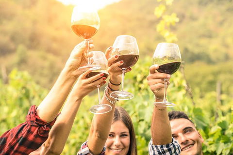 Barossa Valley Cellar Doors Luxury Wine Tour - Australian Directory 1