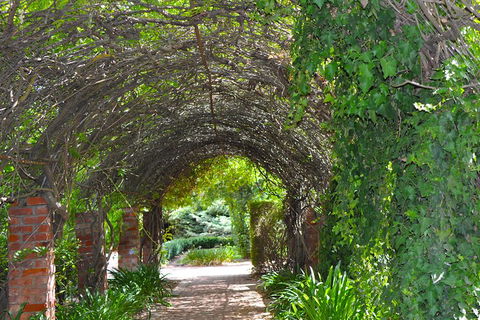 Barossa Valley Cellar Doors Luxury Wine Tour - Australian Directory 3