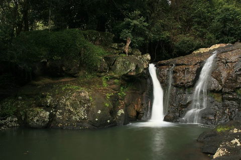 Hinterland Magic & Glow-worm Experience - Australian Directory 2
