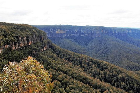 Blue Mountains - Australian Directory 3