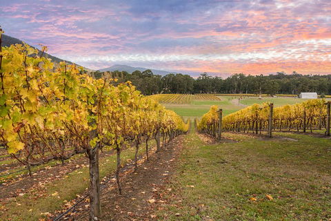 Yarra Valley Boutique Winery Tour From Melbourne - Australian Directory 3