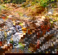 Full-day Springbrook National Park Tour from the Gold Coast - Australian Directory