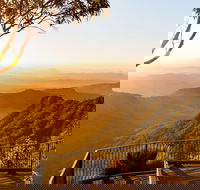 O'Reilly's  Lamington National Park incl. Alpaca Farm  Vineyard - Australian Directory