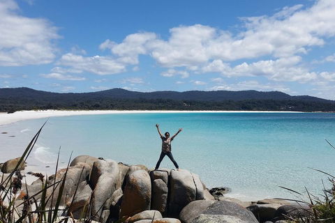 Tasmania 4 Day East Coast + Launceston - Australian Directory 1