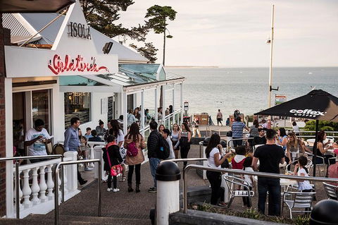 Phillip Island And French Island Wildlife Expedition - Australian Directory 0
