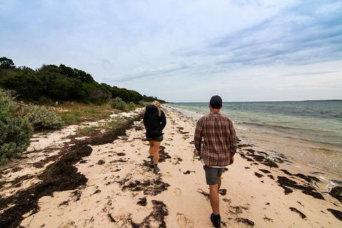 Phillip Island And French Island Wildlife Expedition - Australian Directory 1