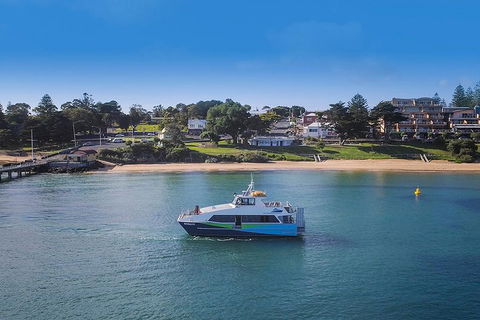 Phillip Island And French Island Wildlife Expedition - Australian Directory 2