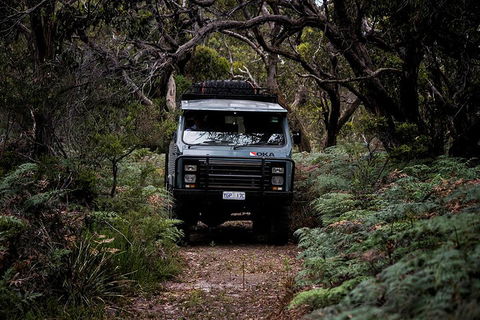 Phillip Island And French Island Wildlife Expedition - Australian Directory 4