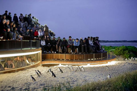 Phillip Island And French Island Wildlife Expedition - Australian Directory 5