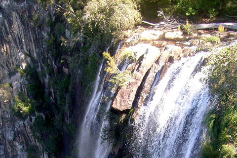 Byron Bay Combo: Hinterland Tour Including Minyon Falls And Kayaking With Dolphins - Australian Directory 3