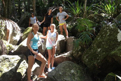 Byron Bay Combo: Hinterland Tour Including Minyon Falls And Kayaking With Dolphins - Australian Directory 4