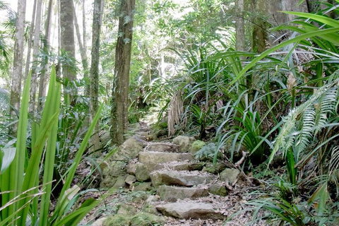 Byron Bay Combo: Hinterland Tour Including Minyon Falls And Kayaking With Dolphins - Australian Directory 5