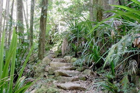 Byron Bay Combo: Minyon Falls And Hinterland Day Trip And Learn To Surf At Byron Bay - Australian Directory 3