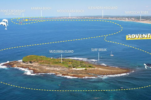 1.5HR Mudjimba Island Wildlife Safari - Australian Directory 1