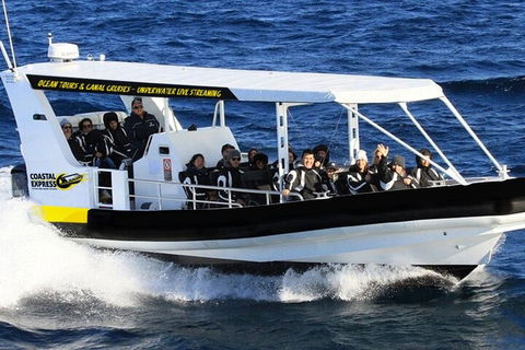 1.5HR Mudjimba Island Wildlife Safari - Australian Directory 2