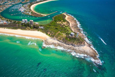 1.5HR Mudjimba Island Wildlife Safari - Australian Directory 5