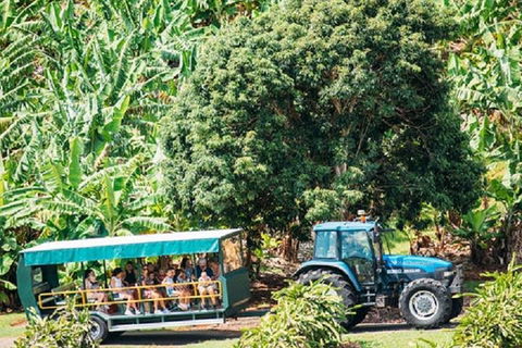 Tropical Fruit World With Wildlife Boat Cruise From Gold Coast - Australian Directory 1