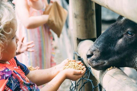 Tropical Fruit World With Wildlife Boat Cruise From Gold Coast - Australian Directory 5