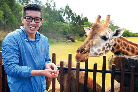 Croc Express To Australia Zoo From Gold Coast - Australian Directory 1