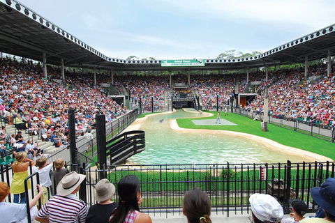 Croc Express To Australia Zoo From Gold Coast - Australian Directory 2