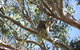 Stradbroke Island 4WD Day Trip From Brisbane - thumb 0