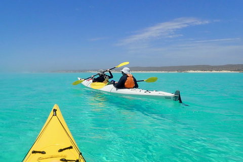 Lagoon Explorer - Ningaloo Reef Full-Day Kayaking And Snorkeling Adventure - Australian Directory 0