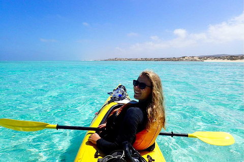 Lagoon Explorer - Ningaloo Reef Full-Day Kayaking And Snorkeling Adventure - Australian Directory 1