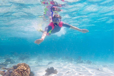 Lagoon Explorer - Ningaloo Reef Full-Day Kayaking And Snorkeling Adventure - Australian Directory 5