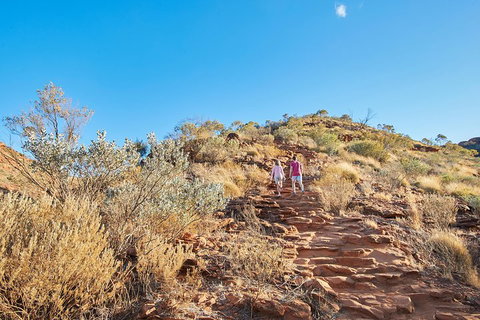 Kings Canyon Guided Rim Walk - Australian Directory 1