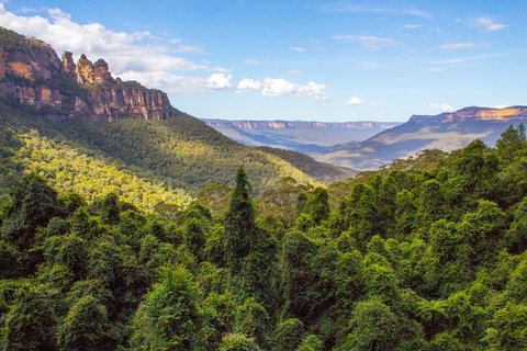 Blue Mountains Nature And Wildlife Day Tour From Sydney - Australian Directory 1