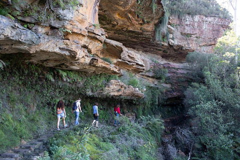 Blue Mountains Nature And Wildlife Day Tour From Sydney - Australian Directory 2