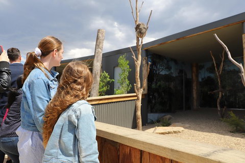 Blue Mountains Nature And Wildlife Day Tour From Sydney - Australian Directory 3