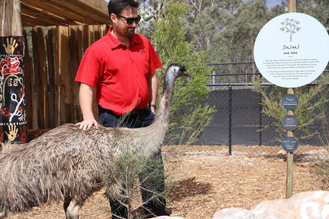 Blue Mountains Nature And Wildlife Day Tour From Sydney - Australian Directory 5