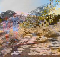 Kings Canyon Day Trip from Ayers Rock Uluru - Australian Directory