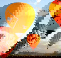 Natural Bridge  Springbrook Waterfalls Tour  Hot Air Balloon with Breakfast - Australian Directory