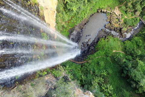 Natural Bridge & Springbrook Waterfalls Tour + Hot Air Balloon With Breakfast - Australian Directory 1