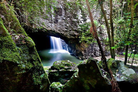 Natural Bridge & Springbrook Waterfalls Tour + Hot Air Balloon With Breakfast - Australian Directory 4