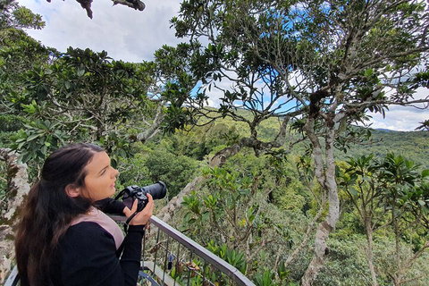 Lamington National Park, O'Reilly's & Vineyard Tour - Australian Directory 1