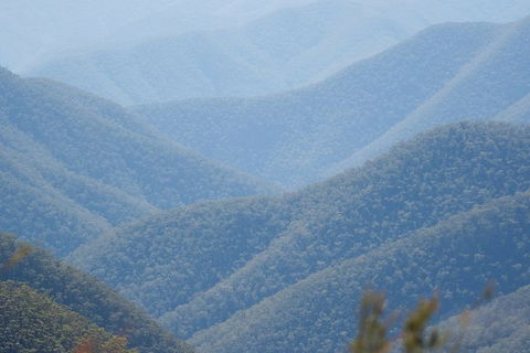 From The Mountains To The Bay - 4 Day Rediscovery Private Tour - Australian Directory 1