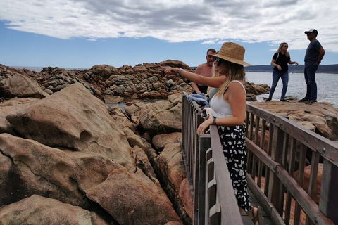 Margaret River Impression Day Tour From Perth - Australian Directory 4