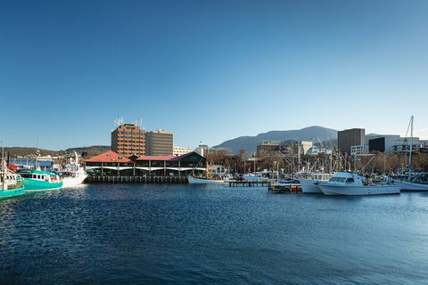 Hobart City Sightseeing Tour Including MONA Admission - Australian Directory 0