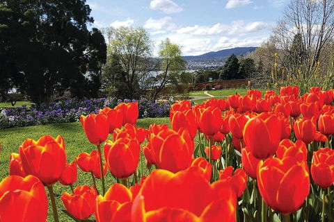 Hobart City Sightseeing Tour Including MONA Admission - Australian Directory 4
