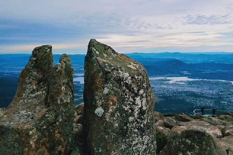 Mt Wellington Tour And MONA Admission - Australian Directory 2
