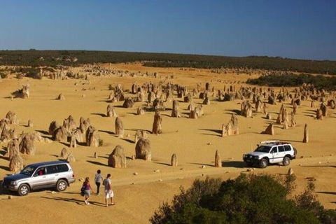1-Day Pinnacles And Yanchep Tour From Perth Including Fish And Chips Lunch - Australian Directory 0