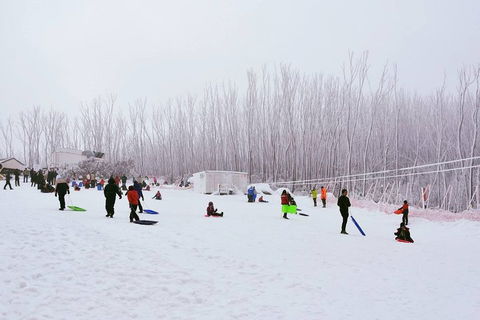 Private Mount Buller Snow And Ski Tour From Melbourne - Australian Directory 1
