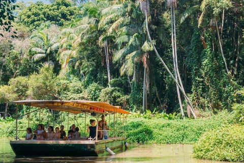 Tropical Fruit World Farm Full Tour - Australian Directory 0