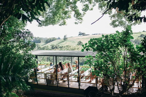 Tropical Fruit World Farm Full Tour - Australian Directory 4