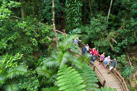 2 Day Daintree Rainforest, Cape Tribulation And Outback Chillagoe Tour - Australian Directory 3