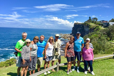 Shore Excursion: Sydney's Northern Beaches & Ku-ring-gai National Park Bus Tour - Australian Directory 0